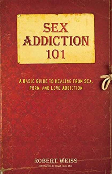 Sex Addiction 101 : A Basic Guide to Healing from Sex, Porn, and Love Addiction