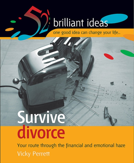 Survive Divorce : Your Route Through the Financial and Emotional Maze
