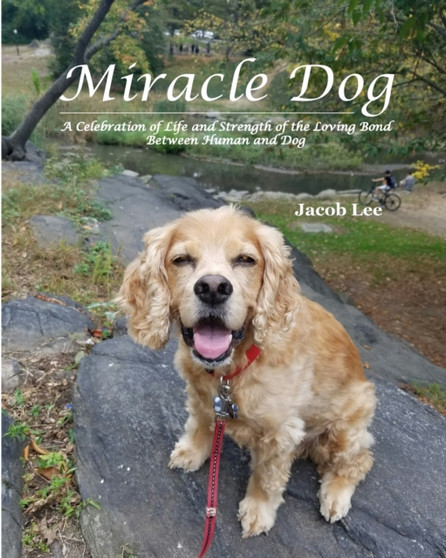 Miracle Dog : A Celebration of Life and Strength of the Loving Bond Between Human and Dog by Jacob Lee - Paperback