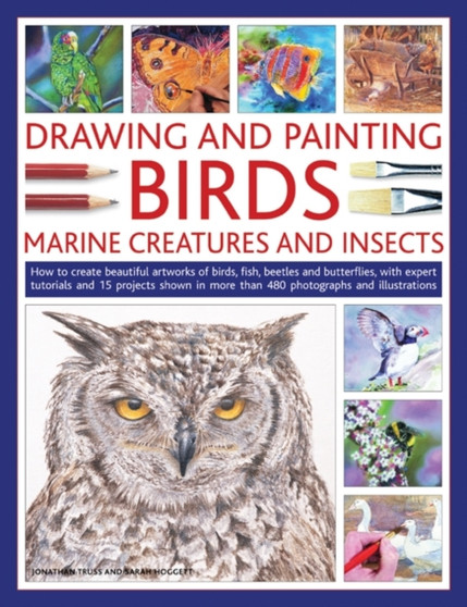 Drawing and Painting Birds, Marine Creatures and Insects by Jonathan Truss - Paperback