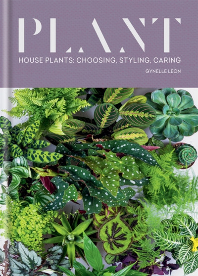 Plant : House plants: choosing, styling, caring