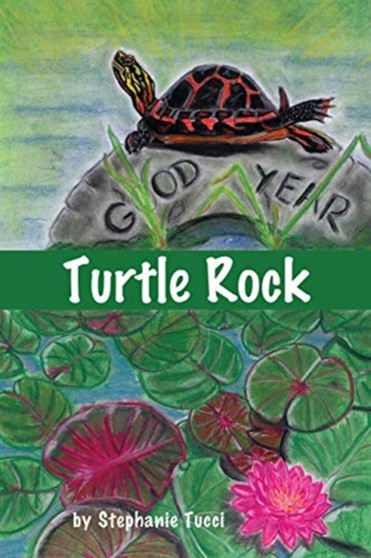 Turtle Rock by Stephanie Tucci - Paperback