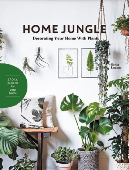 Home Jungle : Decorating Your Home With Plants