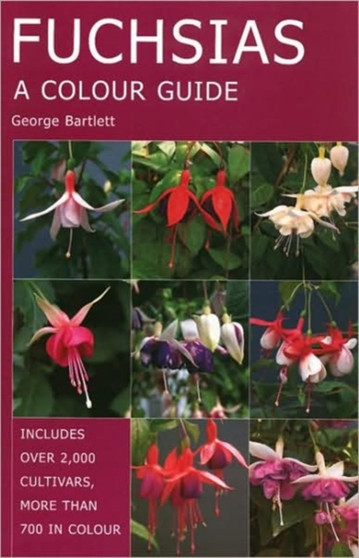 Fuchsias : A Colour Guide