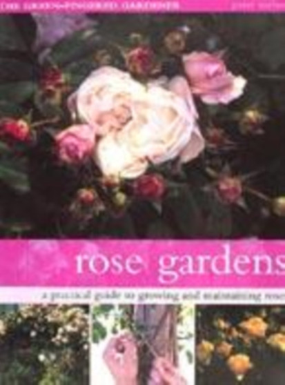 Rose Gardens : A Practical Guide to Growing and Maintaining Roses