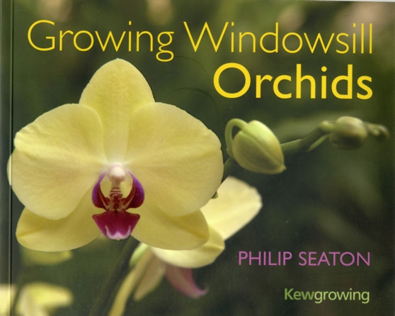 Growing Windowsill Orchids