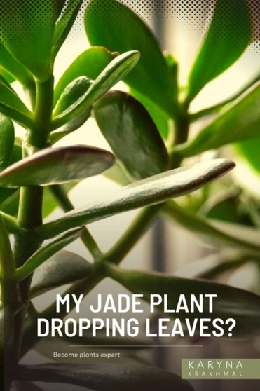 My Jade Plant Dropping Leaves? : Become plants expert