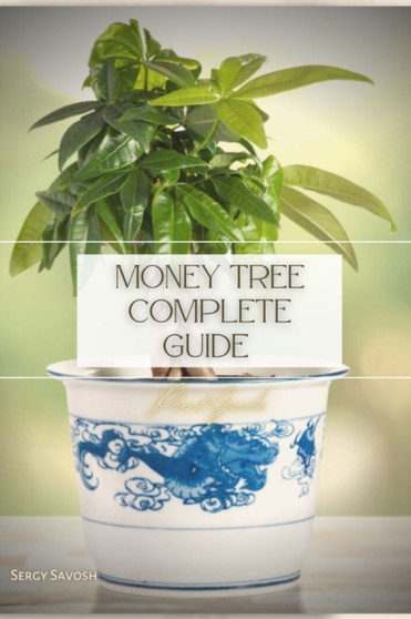 Money Tree Complete Guide : Plant Guide