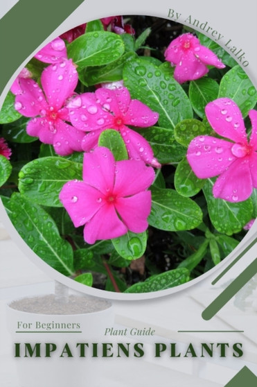 Impatiens Plants : Plant Guide