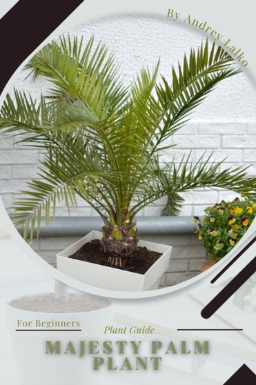 Majesty Palm Plant : Plant Guide