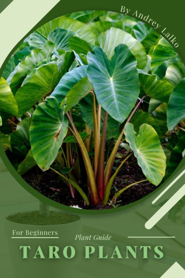 Taro Plants : Plant Guide
