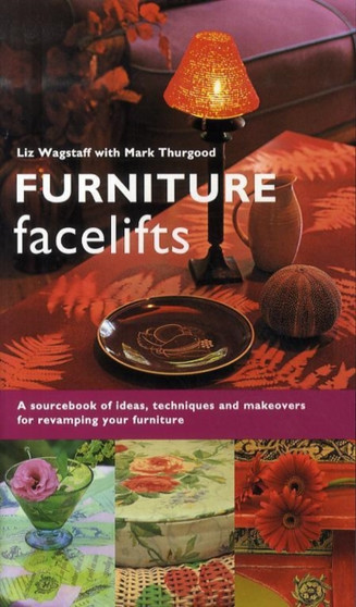 Furniture Facelifts : A Sourcebook of Ideas, Techniques and Makeovers for Revamping Your Furniture