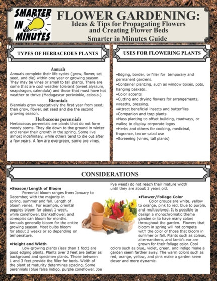 Flower Gardening : Ideas & Tips for Propagating Flowers and Creating Flower Beds