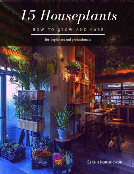 15 Houseplants : How to grow and care