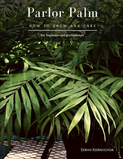 Parlor Palm : How to grow and care