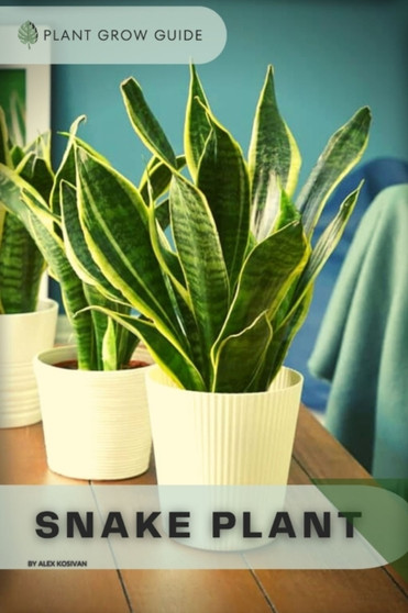 Snake Plant : Plants guide
