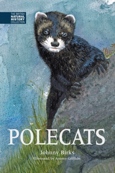 Polecats : 5