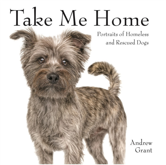 Take Me Home! : Rescue Dogs