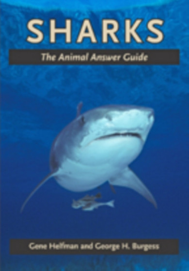 Sharks : The Animal Answer Guide