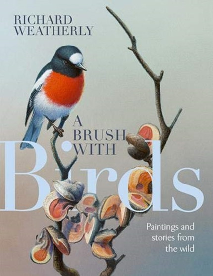 A Brush with Birds : Paintings and Stories from the Wild