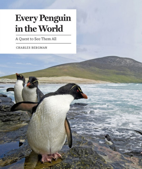 Every Penguin in the World : A Quest to See Them All