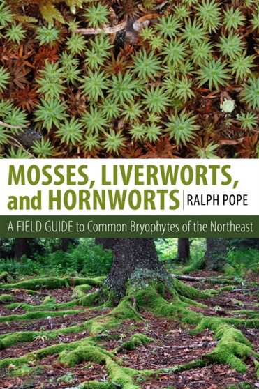 Mosses, Liverworts, and Hornworts : A Field Guide to the Common Bryophytes of the Northeast