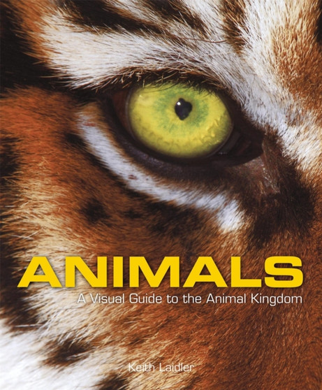 Animals : A Visual Guide to the Animal Kingdom