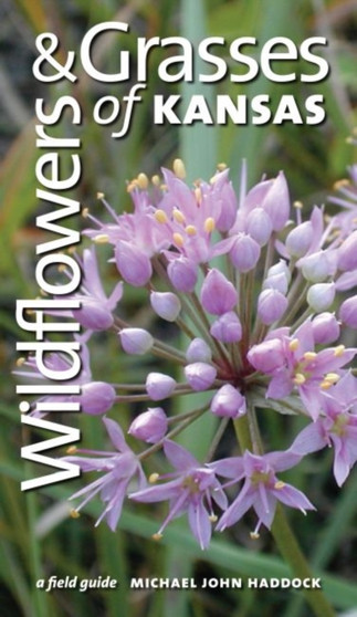 Wildflowers and Grasses of Kansas : A Field Guide