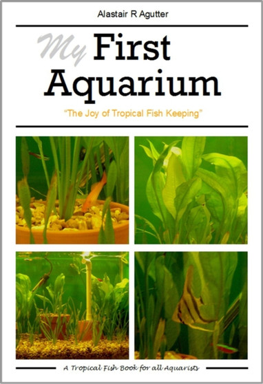 My First Aquarium : The Joy of Tropical Fish Keeping