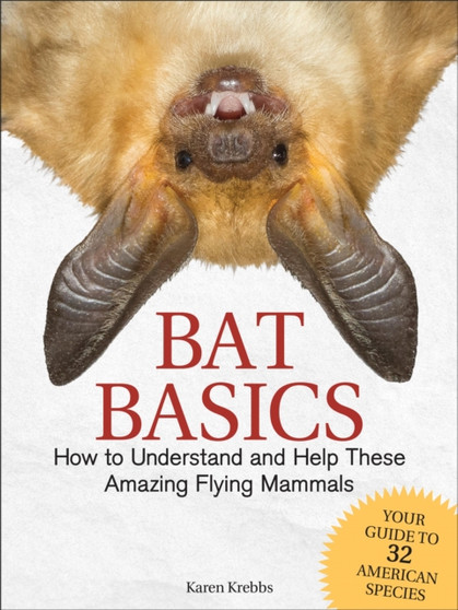 Bat Basics : How to Understand and Help These Amazing Flying Mammals