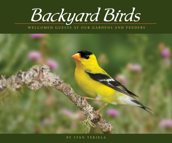 Backyard Birds : Welcomed Guests at Our Gardens and Feeders