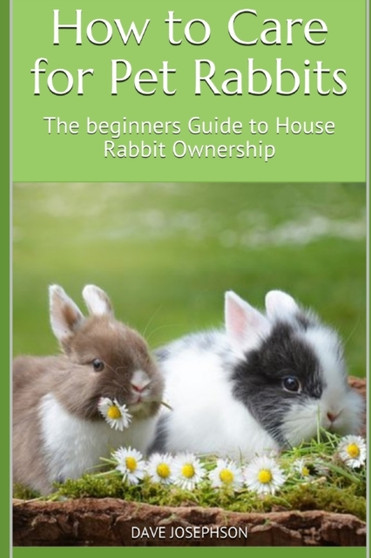 How to Care for Pet Rabbits : The beginners Guide to House Rabbit Ownership