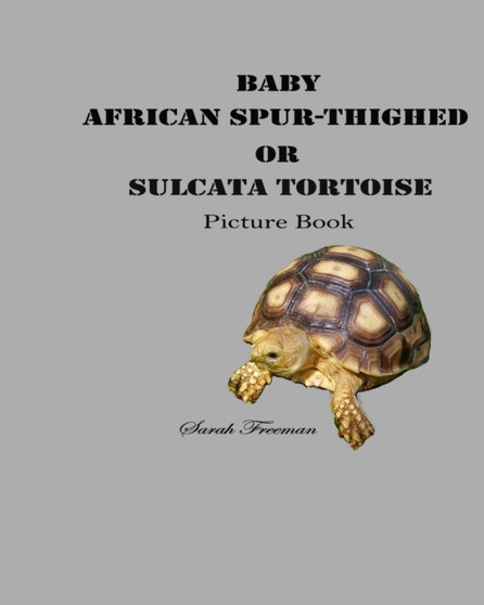 Baby African Spur-Thighed or Sulcata Tortoise Picture Book : 1