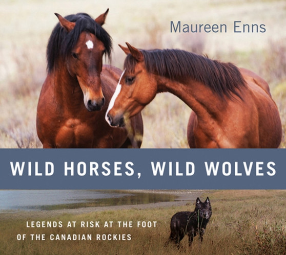 Wild Horses, Wild Wolves : Legends at Risk at the Foot of the Canadian Rockies