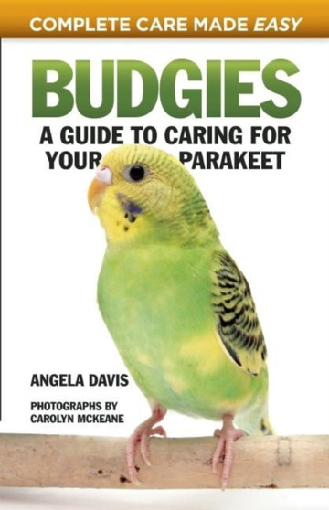 Budgies : A Guide to Caring for Your Parakeet