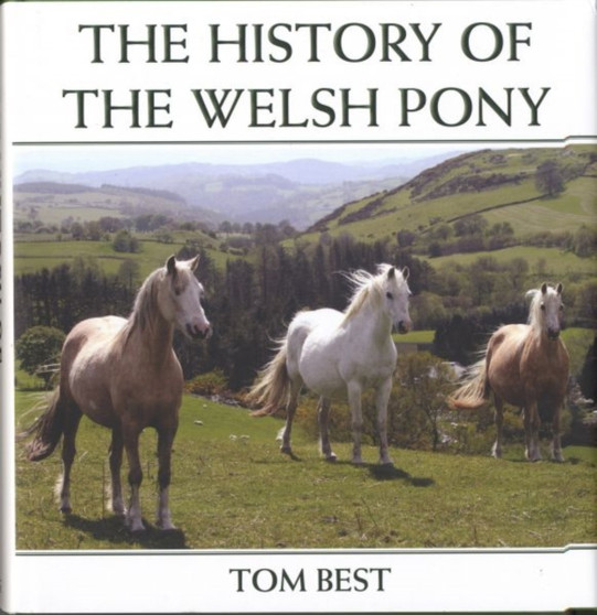 The History of the Welsh Pony
