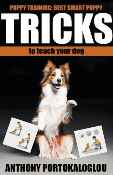 Dog Tricks : Best Smart Dog Tricks to Teach Your Dog in Record Time