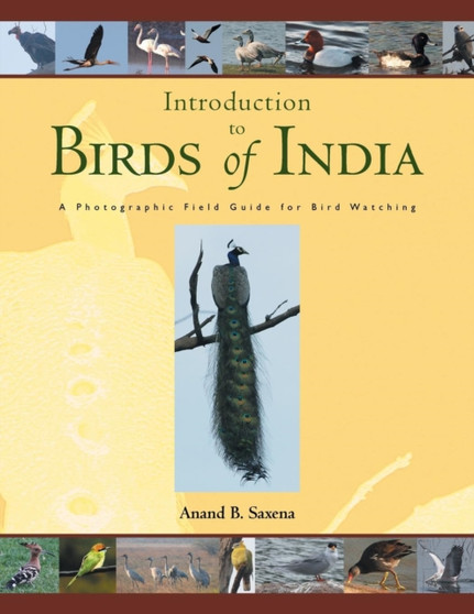 Birds of India : A Photographic Field Guide for Bird Watching