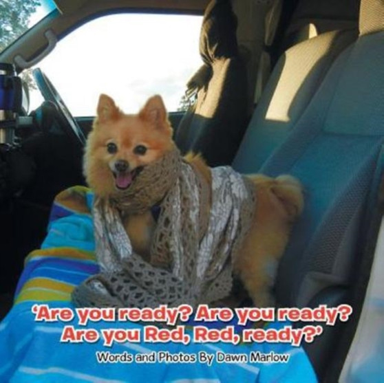 Are you ready? Are you ready? Are you Red, Red, ready?'