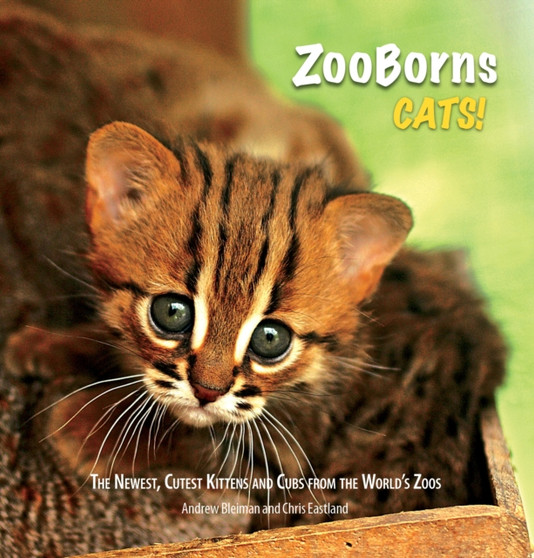 ZooBorns Cats! : The Newest, Cutest Kittens and Cubs from the World's Zoos
