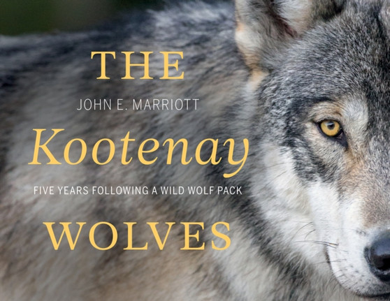 The Kootenay Wolves : Five Years Following a Wild Wolf Pack