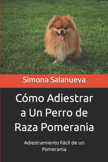Como Adiestrar a Un Perro de Raza Pomerania : Adiestramiento Facil de un Pomerania