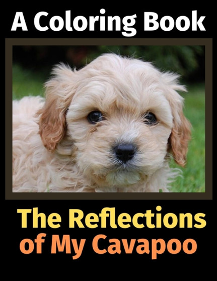 The Reflections of My Cavapoo : A Coloring Book