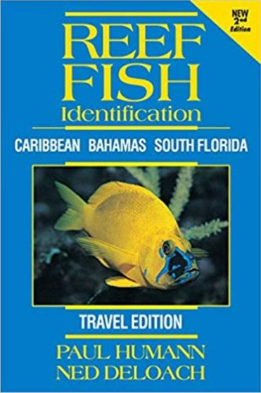 Reef Fish Identification -- Travel Edition : Caribbean Bahamas South Florida