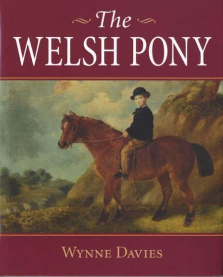 The Welsh Pony