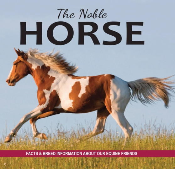The Noble Horse : Facts and breed information on our equine friends