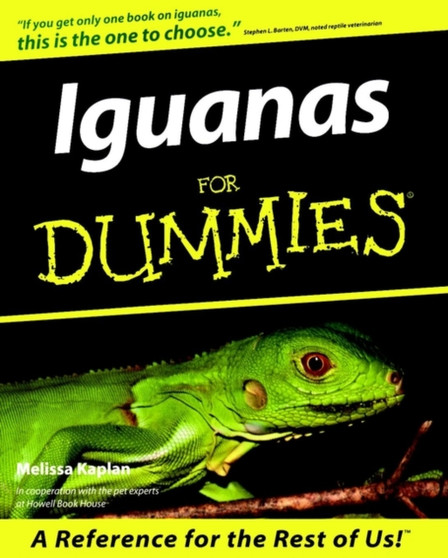 Iguanas for Dummies