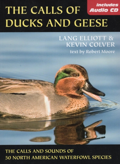 Calls of Duck and Geese