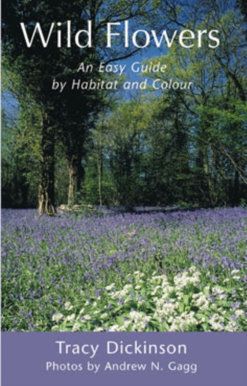 Wild Flowers : An Easy Guide by Habitat and Colour