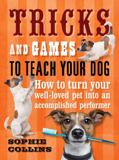 Tricks and Games to Teach Your Dog : How to Turn Your Much-Loved Pet into an Accomplished Performer